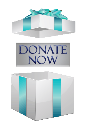 Donate Now Giftbox - Adapted from Freepik.com vector