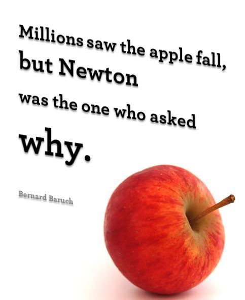 TAME Quote STEM Inspiration Newton Apple Curiosity Bernard Baruch